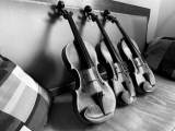 Instruments-Violons-altos-violoncelles.jpg