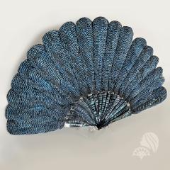 Restauration eventail en plumes