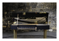 Virginal d'après Louis Denis - 1664 par Guillaume Finaz - 2019 - Photographie Richard Alcock